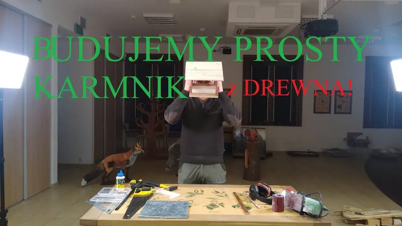 Zdjęcie Jak zrobić karmnik dla ptaków instrukcja - proste kroki i porady